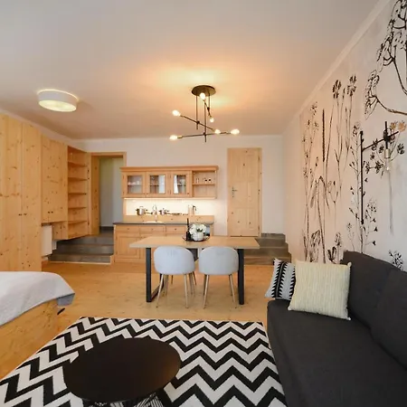 Apartment Stepankova 85 *
