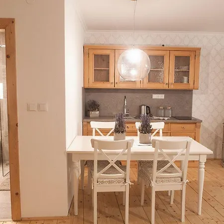 Stepankova 85 Apartment Chrudim